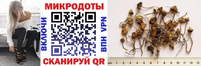 Псилоцибиновые грибы ЛСД  Баксан 