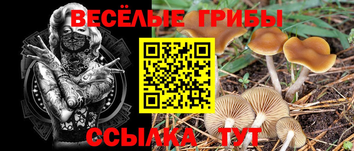 Галлюциногенные грибы мухоморы  Вход с VPN  Баксан 