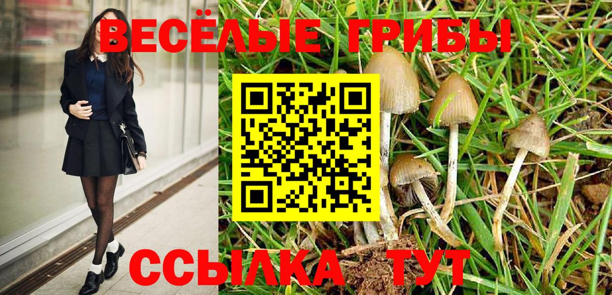 Псилоцибиновые грибы мухоморы  Баксан 